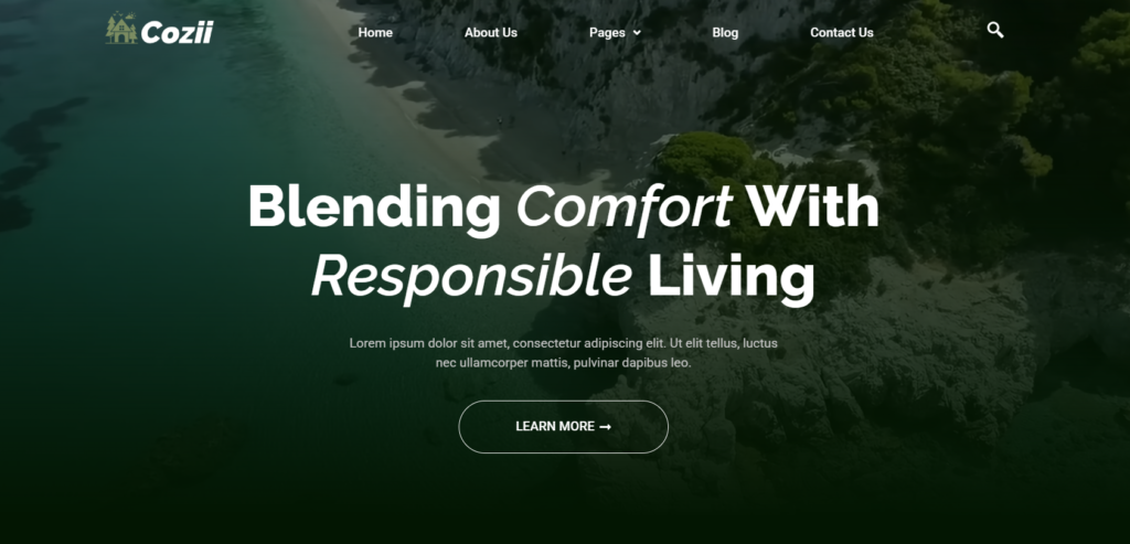 make wordpress website