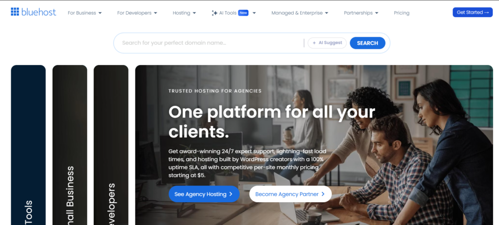 bluehost home page